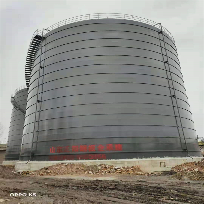 平昌3万吨大型钢板库