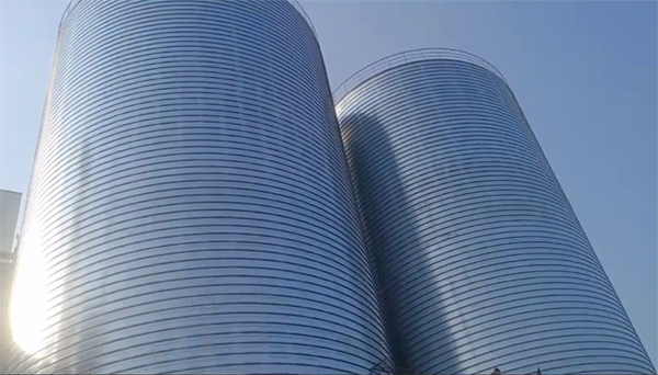 平昌2座混凝土高架卷板仓